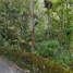 Terrain à vendre à Medellin, Antioquia, Medellin