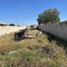  Land for rent in Zapotlan De Juarez, Hidalgo, Zapotlan De Juarez