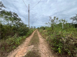  Grundstück zu verkaufen in Conkal, Yucatan, Conkal