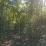  Land for sale in Espita, Yucatan, Espita