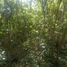  Land for sale in Espita, Yucatan, Espita