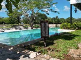  Terreno (Parcela) en venta en Merida, Yucatán, Merida