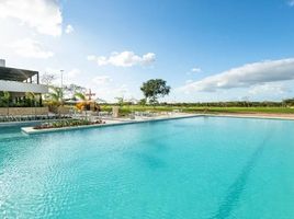  Terreno (Parcela) en venta en Progreso, Yucatán, Progreso