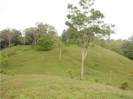 Estudio Villa en venta en Panamá, Piedras Gordas, La Pintada, Coclé, Panamá