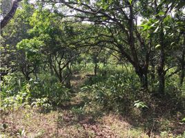  Terreno (Parcela) en venta en Chilibre, Ciudad de Panamá, Chilibre