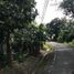  Terreno (Parcela) en venta en Chilibre, Ciudad de Panamá, Chilibre
