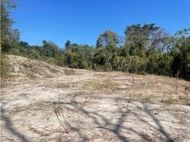  Land for sale in El Palmar Beach, San Carlos, San Carlos