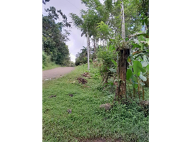  Terrain for sale in Capira, Panama Oeste, Capira, Capira