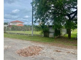  Terreno (Parcela) en venta en Panamá Oeste, Chame, Chame, Panamá Oeste