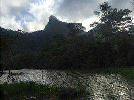  Terreno (Parcela) en venta en Panamá Oeste, San Carlos, San Carlos, Panamá Oeste