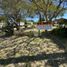  Land for sale in Uruguay Entre Rios, Uruguay, Entre Rios