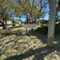  Land for sale in Uruguay Entre Rios, Uruguay, Entre Rios
