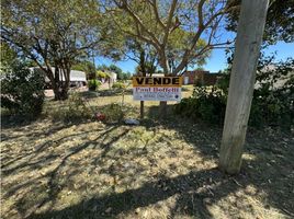  Land for sale in Uruguay Entre Rios, Uruguay, Entre Rios