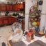 Maison 4 chambre à vendre à Tultepec, Mexico, Tultepec