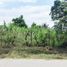  Land for sale in Soritor, San Martin, Soritor, Moyobamba