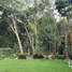 6 Bedroom House for rent in Cuajimalpa De Morelos, Mexico City, Cuajimalpa De Morelos