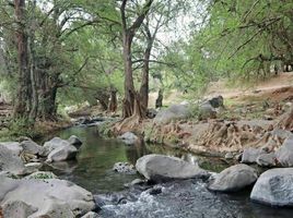  Grundstück zu verkaufen in Tlayacapan, Morelos, Tlayacapan