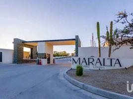 2 Schlafzimmer Wohnung zu verkaufen in La Paz, Baja California Sur, La Paz