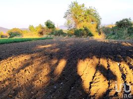  Terrain for sale in Puebla, Tochimilco, Puebla