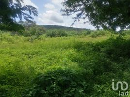  Grundstück zu verkaufen in Miacatlan, Morelos, Miacatlan