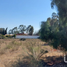  Land for sale in Huasca De Ocampo, Hidalgo, Huasca De Ocampo