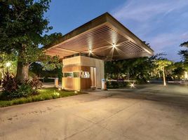 4 Bedroom House for sale in Tixpehual, Yucatan, Tixpehual