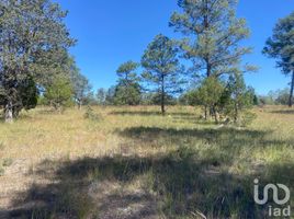  Terreno (Parcela) en venta en Durango, Durango, Durango, Durango