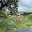  Land for sale in Temixco, Morelos, Temixco