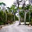 Terrain à vendre à Cozumel, Quintana Roo, Cozumel