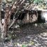  Land for sale in Tepic, Nayarit, Tepic