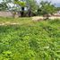  Land for sale in Merida, Yucatan, Merida, Yucatan
