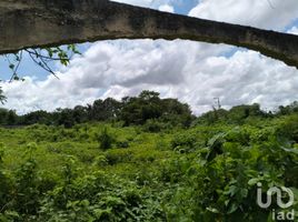  Land for sale in Merida, Yucatan, Merida, Yucatan