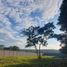  Land for sale in Berriozabal, Chiapas, Berriozabal