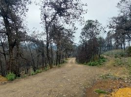  Terreno (Parcela) en venta en Tlahuac, Ciudad de México, Tlahuac