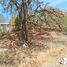  Land for sale in Guanajuato, Guanajuato, Guanajuato, Guanajuato