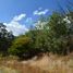  Land for sale in Guanajuato, Guanajuato, Guanajuato, Guanajuato
