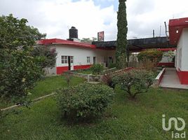 4 Habitación Casa en alquiler en Chiapas, Las Rosas, Chiapas