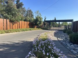  Terreno (Parcela) en venta en Maule, Constitucion, Talca, Maule