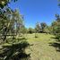5 Bedroom House for sale in Maule, Colbun, Linares, Maule