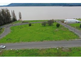  Land for sale in Maule, Colbun, Linares, Maule