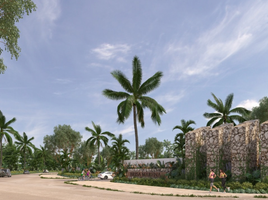  Terreno (Parcela) en venta en Dzidzantun, Yucatán, Dzidzantun