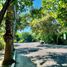  Terreno (Parcela) en venta en Compostela, Nayarit, Compostela