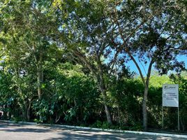  Terreno (Parcela) en venta en Compostela, Nayarit, Compostela