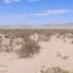  Land for sale in Juarez, Chihuahua, Juarez