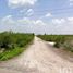  Terreno (Parcela) en venta en Yaxkukul, Yucatán, Yaxkukul, Yucatán