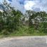  Terreno (Parcela) en venta en Yaxkukul, Yucatán, Yaxkukul, Yucatán