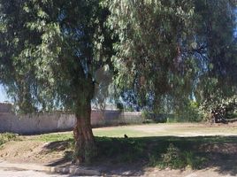  Grundstück zu verkaufen in San Martin De Las Piraamides, Mexico, San Martin De Las Piraamides