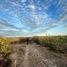  Land for sale in La Paz, Baja California Sur, La Paz, Baja California Sur