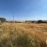  Terreno (Parcela) en venta en El Marques, Querétaro, El Marques