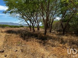  Grundstück zu verkaufen in San Sebastian Del Oeste, Jalisco, San Sebastian Del Oeste